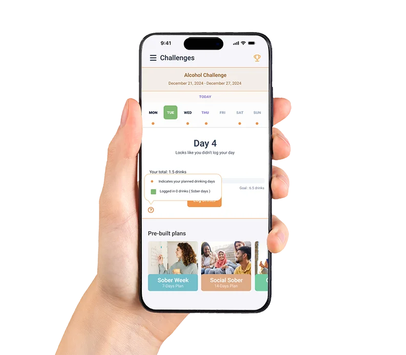 Sobrynth: App experience